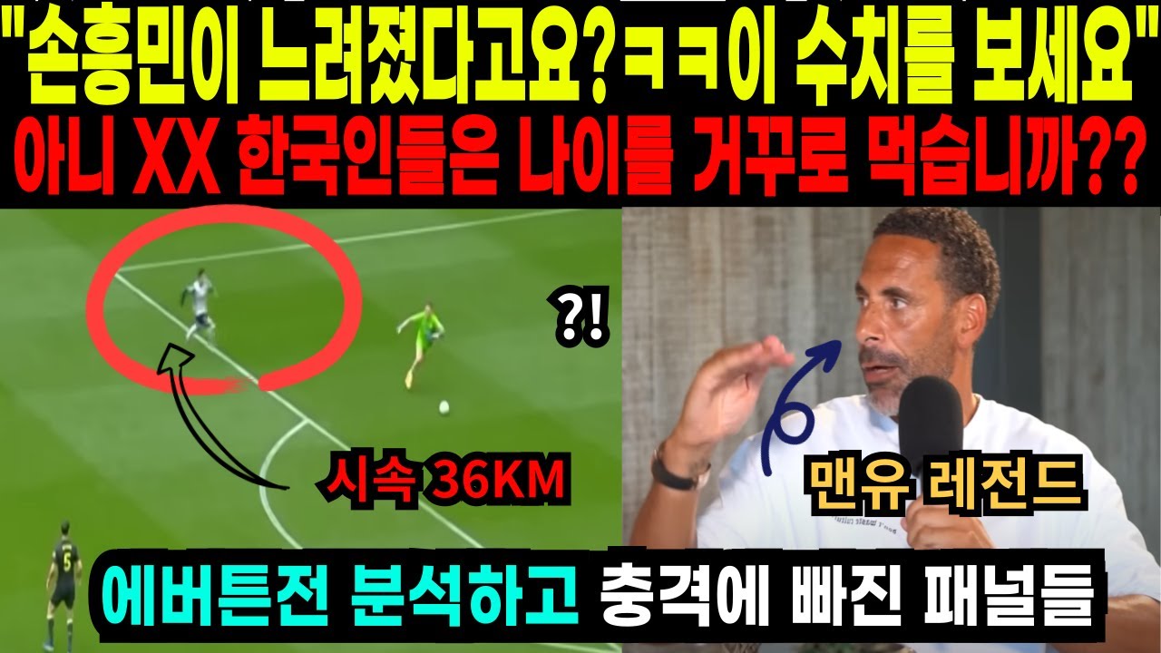 에버튼전 손흥민 골 분석한 패널들이 모두 얼어붙은 이유 - YouTube