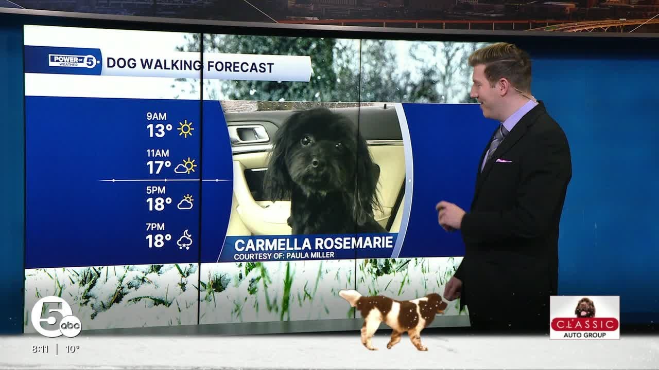 Sunday Dog Walking Forecast: Even colder but brighter