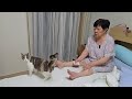 ПРИМЧАЛАСЬ НОЧЬЮ ДОМОЙ|БОЛТАЛКА НА НОЧЬ ГЛЯДЯ