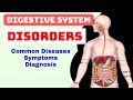 Digestive system disorders  gastrointestinal disorder  common gi diseases  nursing class