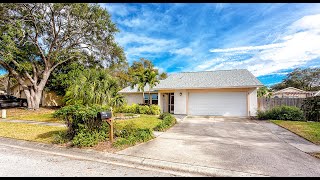 244 Myrtle Ct, Palm Harbor, FL 34683, USA
