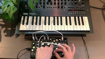 Makenoise Strega + Korg Minilogue