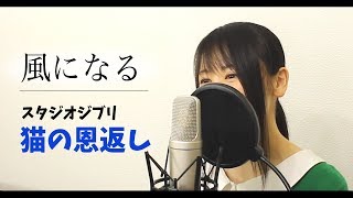 【猫の恩返し】『風になる』（フル歌詞付き）【スタジオジブリ / Covered by Macro Stereo & Elmon】