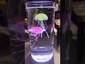 This Jellyfish Lamp is So Mesmerizing 😍 Honest Review