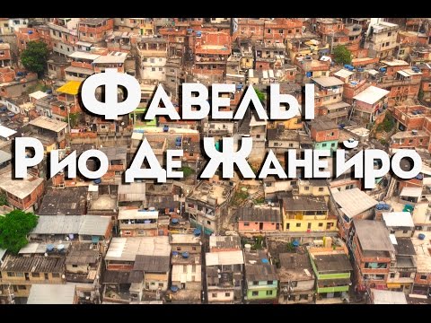 Храбрый дикобраз отбился от 17 львов