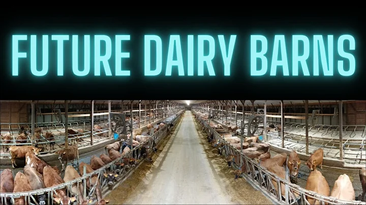 Automated Manure Scraper Maintenance in Dairy Barn