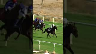 Commentator sings Monty Python | Turf Paradise Net Worth