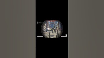 Fallout 4: look at me...im the deadliest legendary enemy in the Commonwealth