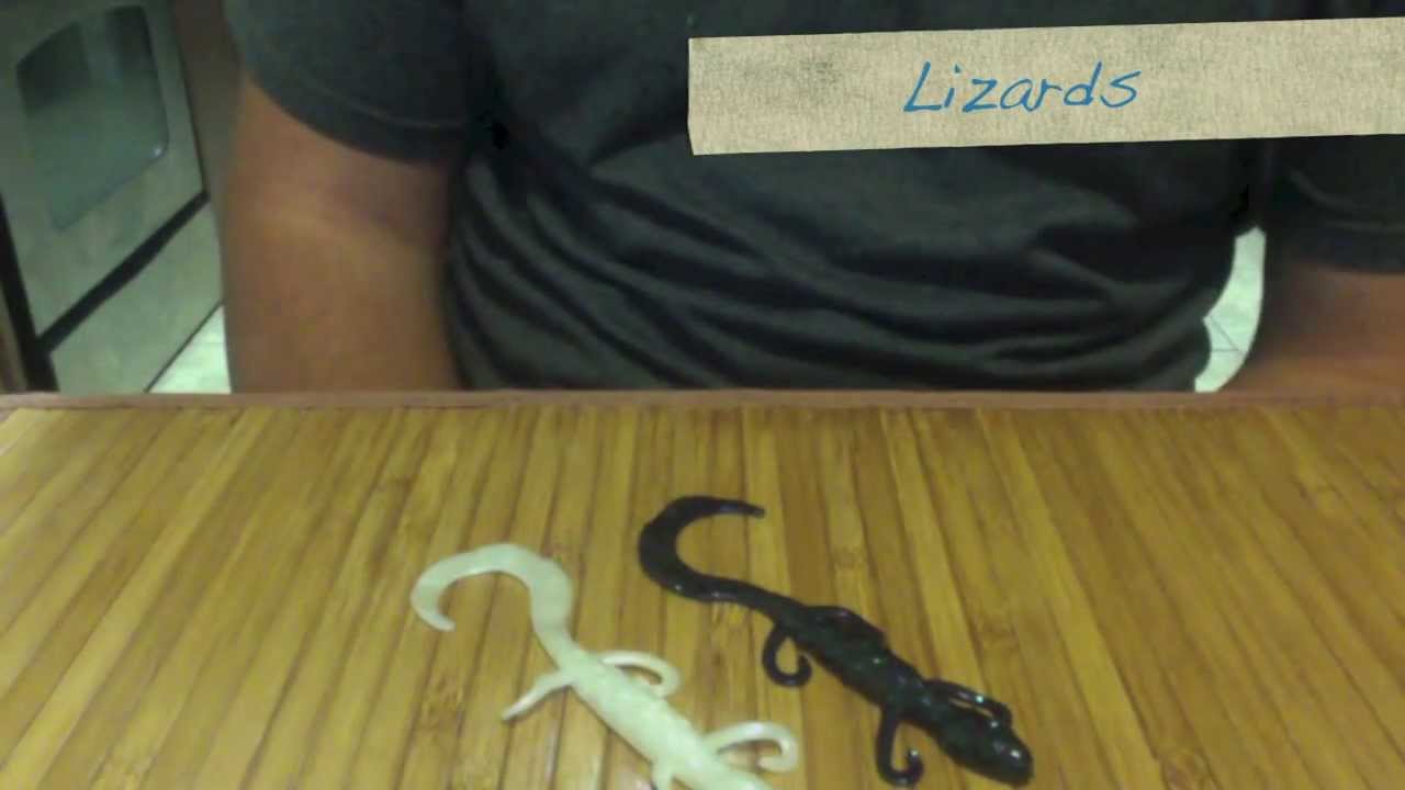 Bed fishing basics pt 2: Lure selection 