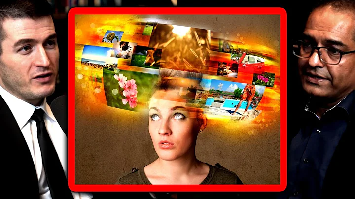 Neuroscientist explains how memory works | Charan Ranganath and Lex Fridman