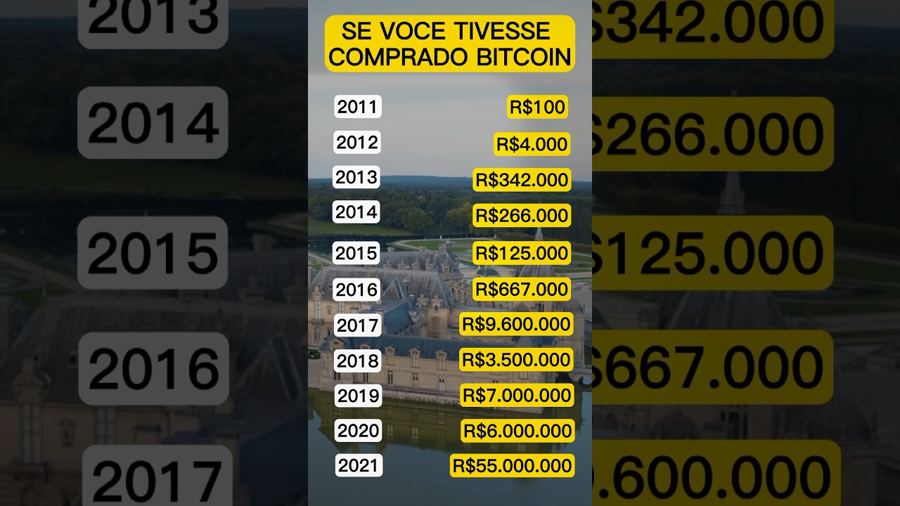 Quanto você teria hoje se tivesse comprado Bitcoin? Ainda da tempo de  entrar no mercado - YouTube