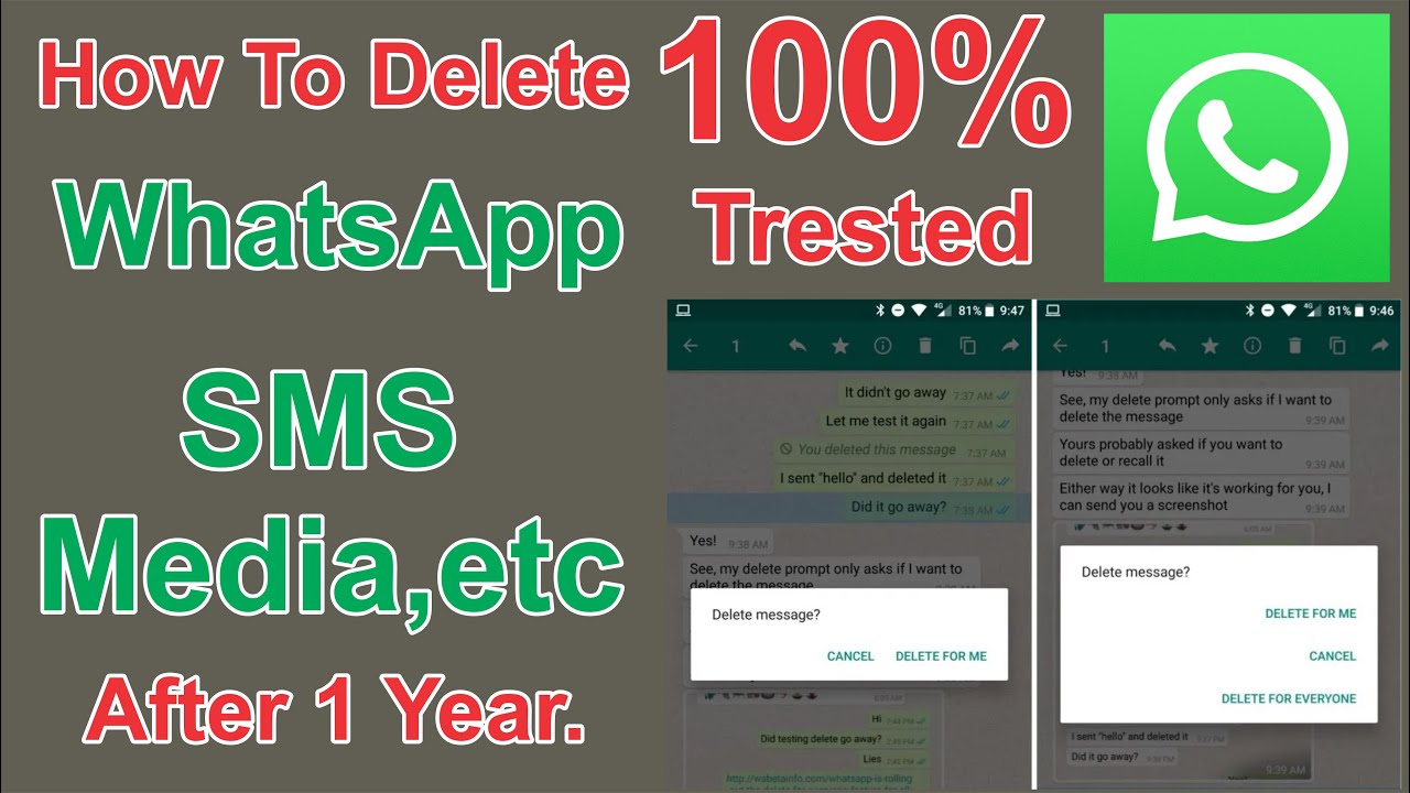 how-to-delete-for-everyone-whataapp-sms-after-one-year-old-whatsapp