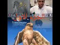 نوماس و ملونير يسحق قعيد المجد في الجوال الاولي نوماس و ملونير يسحق قعيد المجد في الجوال الاولي