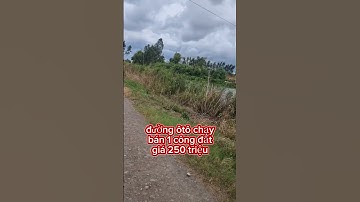 Bán 1 công đất lúa ở xã bình hòa đông mộc hóa, long an #batdongsan #muabandatgiare