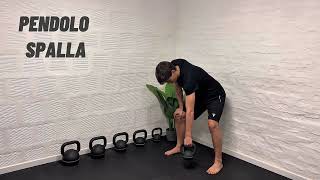 PENDOLO DI CODMAN SPALLA