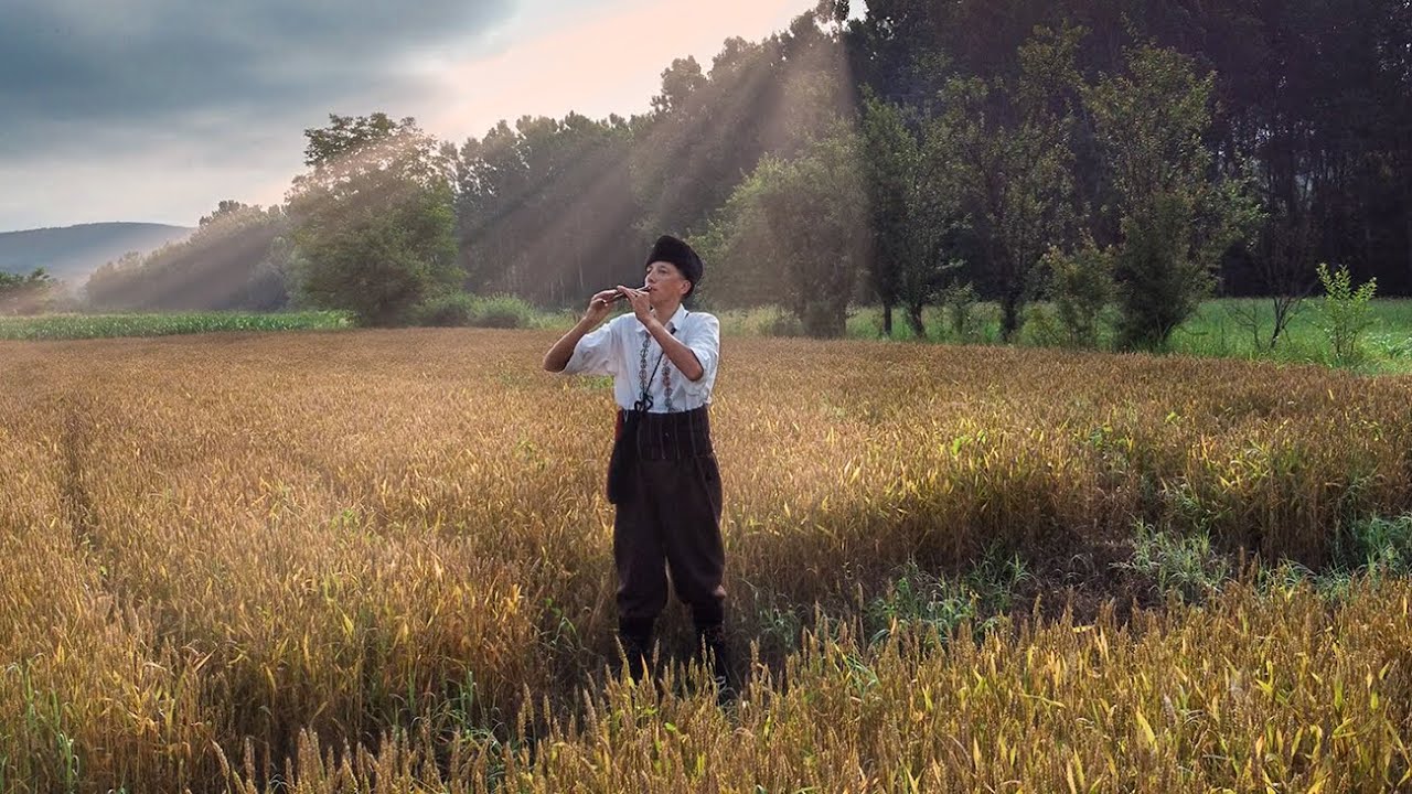A što ćemo ljubav kriti - frula