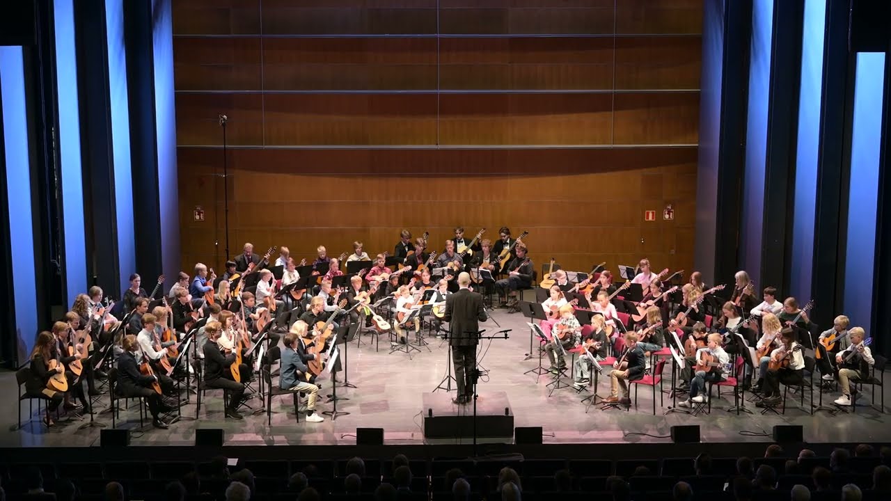 Diamonds and Rust - JOAN BAEZ - The Finnish Guitar Orchestra live