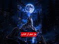 معلومات مهمة اكسبلور  اقنباسات  اقنباسات كلام من ذهب لايك الذئب