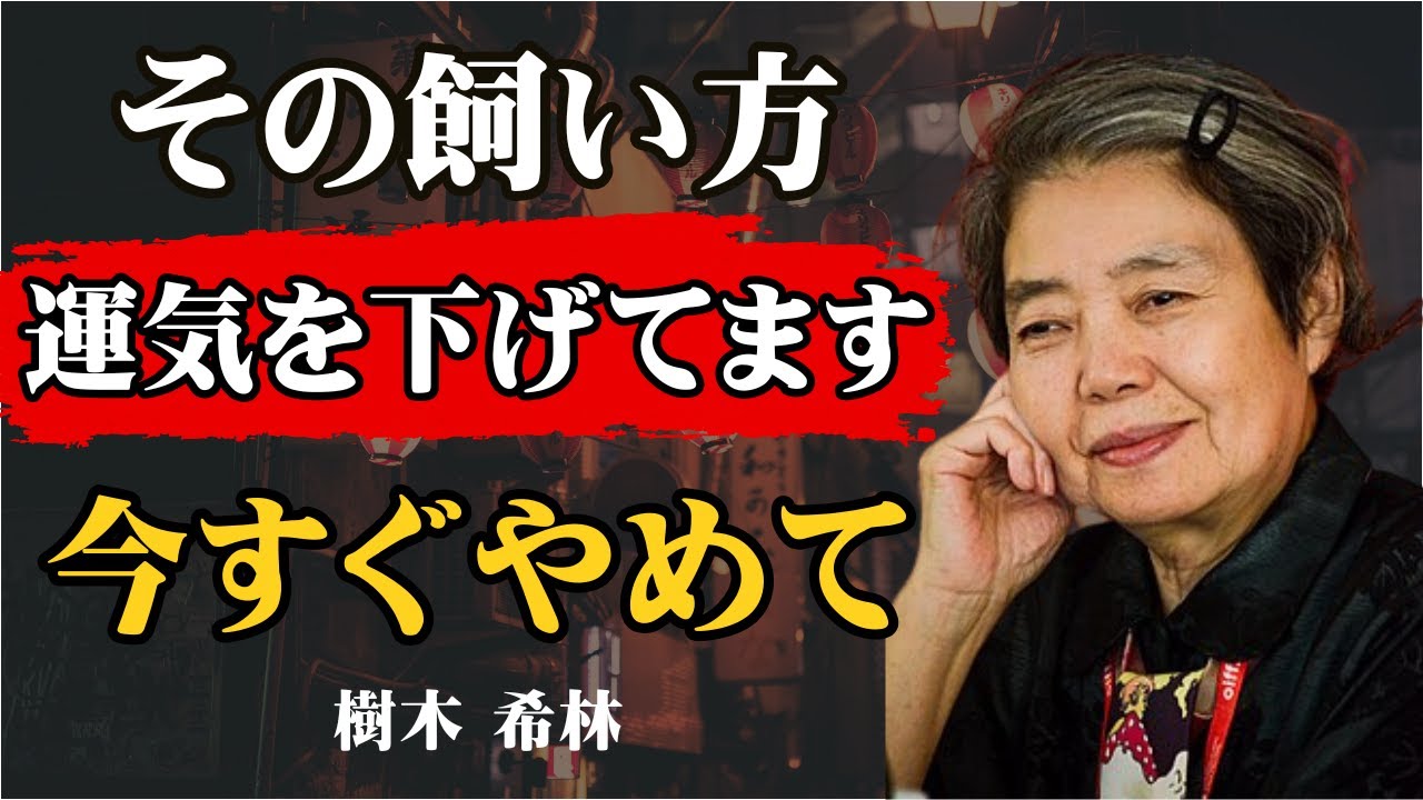 [樹木希林] もし一つでも当てはまったら、今すぐやめてください。ペットとあなたの運気を同時に下げる最悪の習慣7選｜樹木希林｜ペット｜運気｜スピリチュアル｜犬｜猫｜飼い方