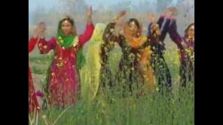 Uddu Uddu Kare Mera Ji Ni Saheliyo Video (1997)