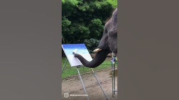 Elephant Painting | Suda | Buy Your Painting Today (link in the description)