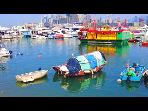 【4K】香港铜锣湾避风塘