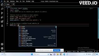 How to check website IP address using Python