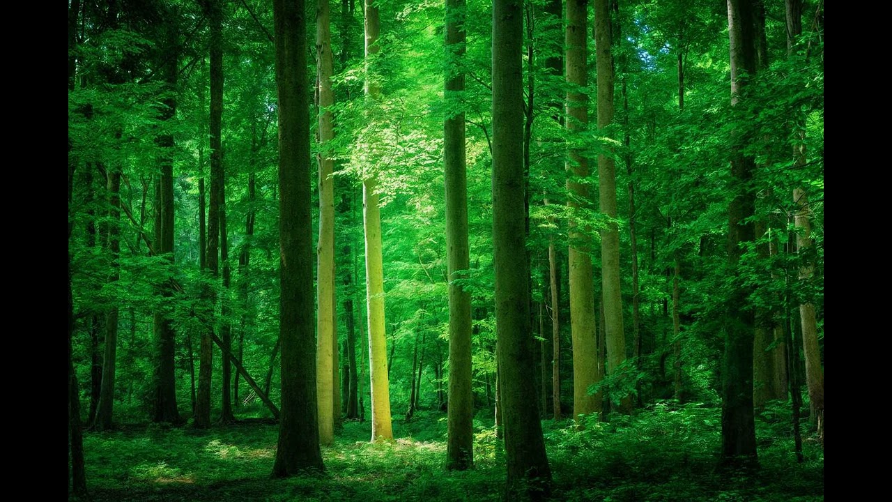 Folk Rock Improvisation