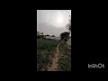 Village Status 🏡 Ham Gae Wale Hai🏘️ Village Whatsapp Status#shorts​#village​ #villagestatus​#shorts​