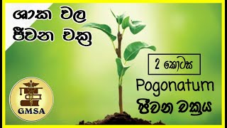 උසස් පෙළ ජීව විද්‍යාව,ශාක වල ජීවන චක්‍ර, දෙවන කොටස By-Dinitha Induwara Perera