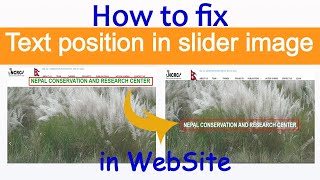 How to fix text position in slider image.