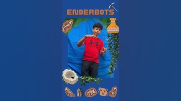 FTC Team 5484 The EnderBots - FTC DECODE 2025-26 Season Team Predictions