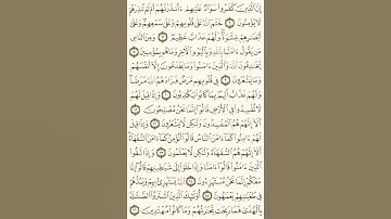 مصحف المعصراوي – الصفحة 3 | تلاوة خاشعة