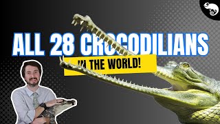Every Species of Alligator, Crocodile, Caiman and Gharial! (If You're Into That Kind of Thing)