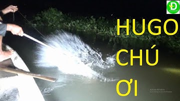 42  Ông lão Giăng Câu Cá Tra - Lên Bầy Cá Tra Khủng - Cá HUGO l Đất Phương Nam