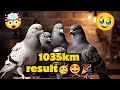 1036km results 🥳🤙🤩💥