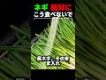 ネギ 絶対にこう食べないで！効果半減するこれ知らないと損です🌿💥 #ネギ #免疫力 #健康習慣