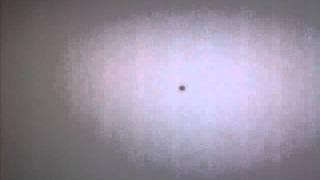 bug inside computer screen