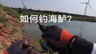 如何钓海鲈怎么钓海鲈鱼