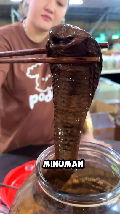 The process of making snake wine from Vietnam