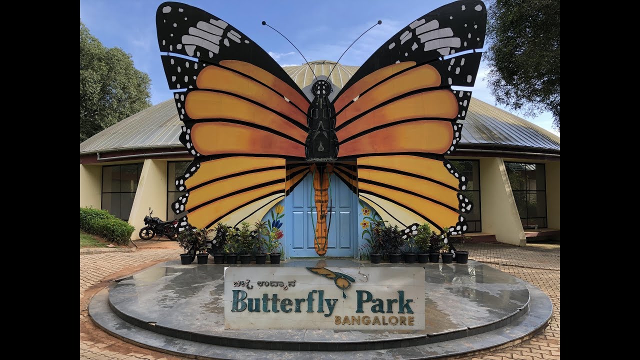 BUTTERFLY PARK at NATIONAL PARK BANGALORE YouTube