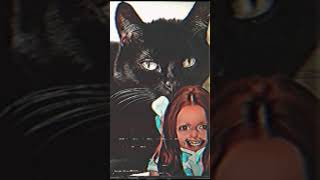 Ozenkawa Sacha - Video Killed The Radio Star Cover