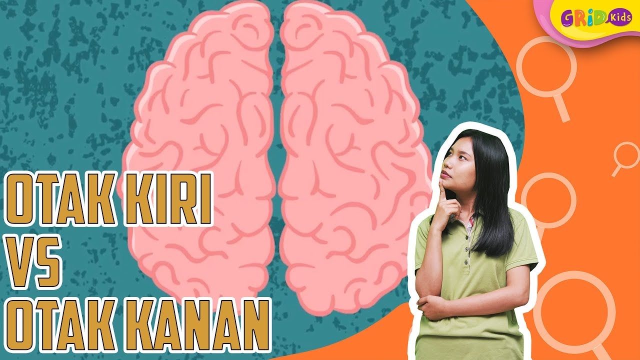 Perbedaan Otak Kiri Dan Otak Kanan Infografik Youtube