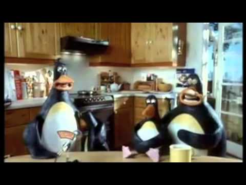 Cook Electric Creature Comforts 1992 Youtube
