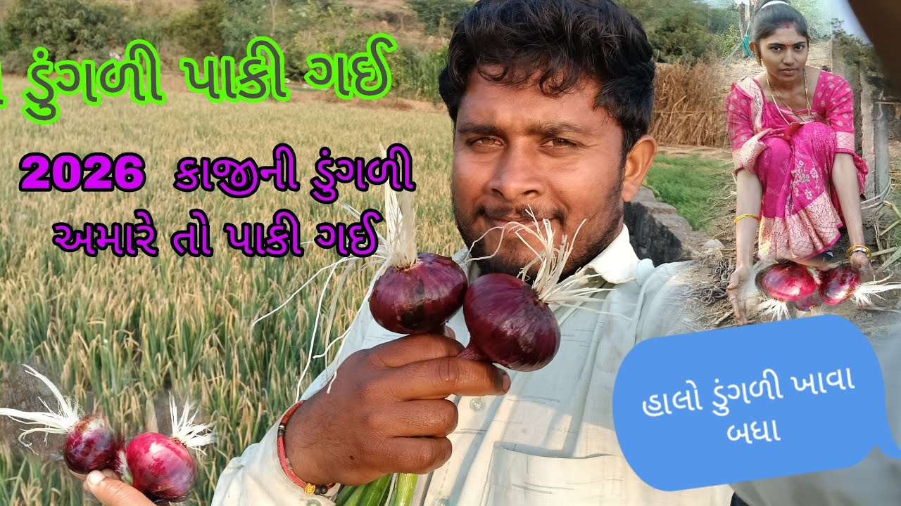 ડુંગળી પાકી ગઈ તમારે ખાવી હોય તો આવજો,🧅🧅🧅🧄 છેલ્લું છૂટ પાણ પાઈ ગઈ દીધું 💫😱