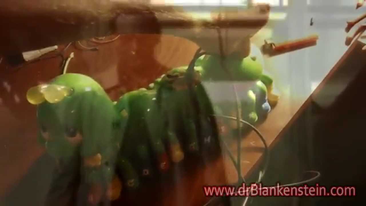 Skrillex + Circuit Bending = EPIC / Circuit Bent Dubstep Caterpillar