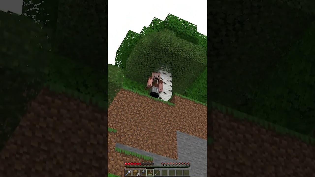 Don't check the sound 😭            #minecraft       #viralvideo