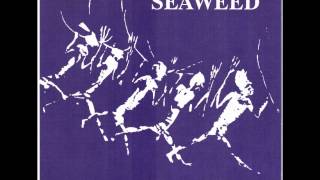 Seaweed - Stargirl