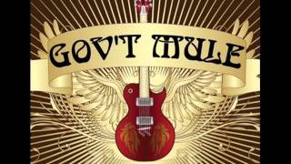 Watch Govt Mule Drivin Rain video