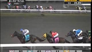 Turfway Park 01082016 Race 2